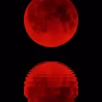 Bloodmoon voice changer