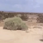 silence voice changer