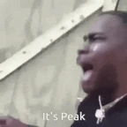 Peak mic bro voice changer