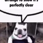 deep echo voice changer