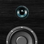 pa system voice changer