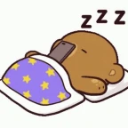 Kuro-Sleep voice changer