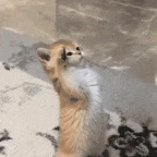 aye aye aye aye aye aye aye ayea ya voice changer