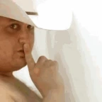 Cowboy voice changer