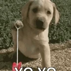 ioiooi voice changer