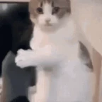 chappie voice changer