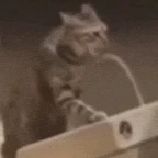 Softer Speaking voice changer