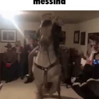 Neighbor Upstairs voice changer