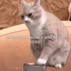 Toodles MOTM voice changer