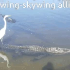 Mudwing voice changer