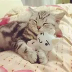 CLEAR MIC voice changer