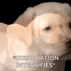 DID fixer for Luca voice changer