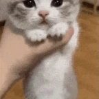 Wobbly alien voice changer