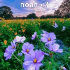 noah 3 voice changer