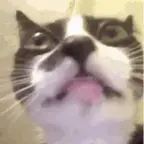 Crisp Mic voice changer