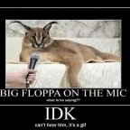 Fifine Microphone - Edited by Floppa voice changer