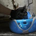 Radio cassée voice changer