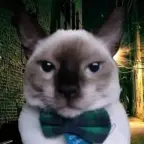 cocacola espuma voice changer