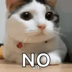 no >:( voice changer