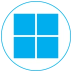 hayan crow voice changer