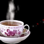 1 voice voice changer