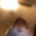 LOLZERS voice changer