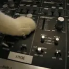 best mic with bacgorund sound voice changer