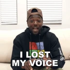 No Voice voice changer