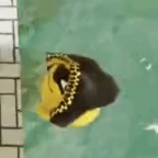 Tela mon joke voice changer