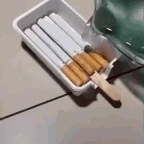 adiyaman voice changer