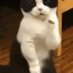 funny cute voice changer