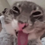 freaky voice changer