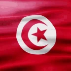 Escroc français voice changer