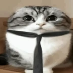 very fact asmr voice so true fact 100% for it voice changer