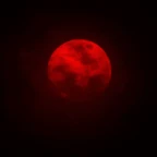 unholybloodmoon voice changer