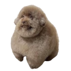 Bad slasher voice changer voice changer