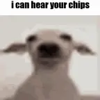 Earape voice changer