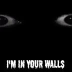 in your walls voice changer