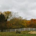 grave rap voice changer