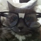 Salvage voice changer