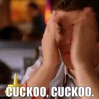 kookoo voice changer