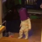 Bucket Head voice changer