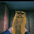 Distorted Ribs voice changer