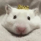 Rat King voice changer