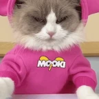 pigman 1.0 voice changer