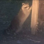 simple android voice changer