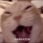 Narrator voice changer