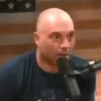 Telephone thingamabob voice changer