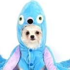 Fifine Mic voice changer