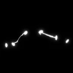 the hosts voice changer